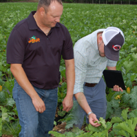 our-culture-1-199×199