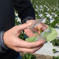 our-philosophy-199×199