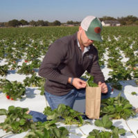 soil-and-leaf-199×199